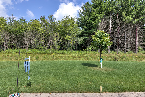 19 - Backyard-2