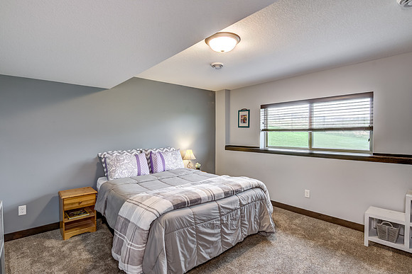 12 - Lower Level Bedroom - 1-1