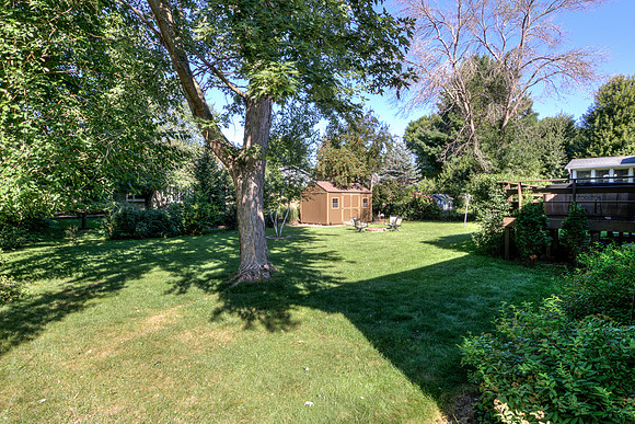 19 - Backyard-6