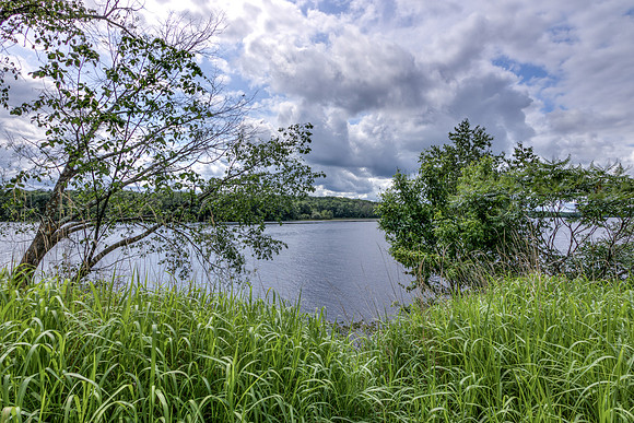 01 - Waterfront-1
