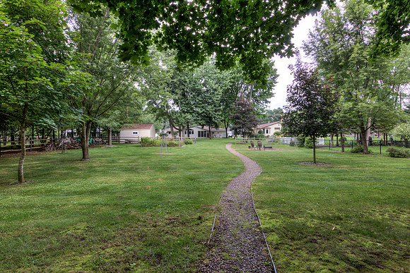 19 - Backyard-09