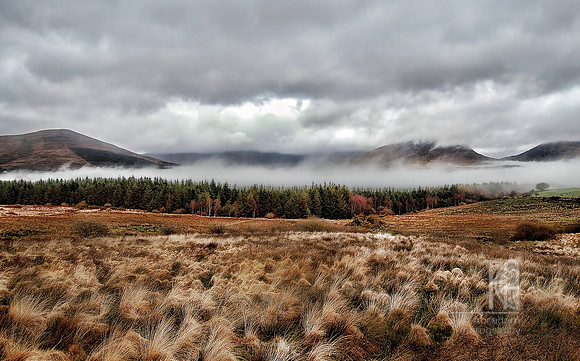 Photo-a-Day. Day 183. A soft day in Kerry... (March 2007)