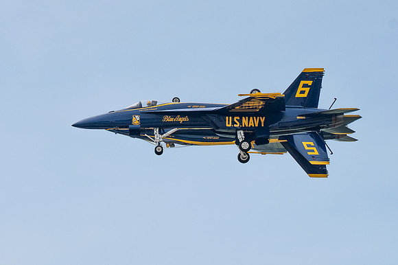 TZ6_4089