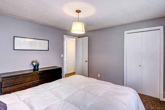 12 - Lower Level Bedroom - 1-2