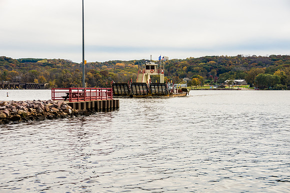 DSC_7784.jpg