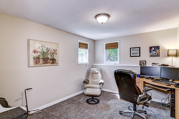 12 - Lower Level Bedroom - 2-1