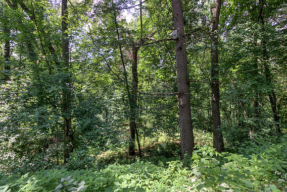 19 - Backyard-3