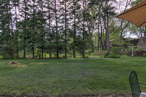 19 - Backyard-2