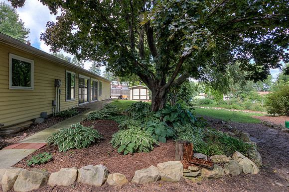 19 - Backyard-13