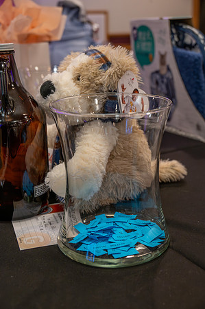 Tim Abraham - 21 -Purses for Paws 25-73