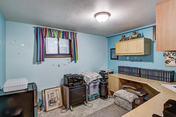 12 - Lower Level Bedroom - 1-1