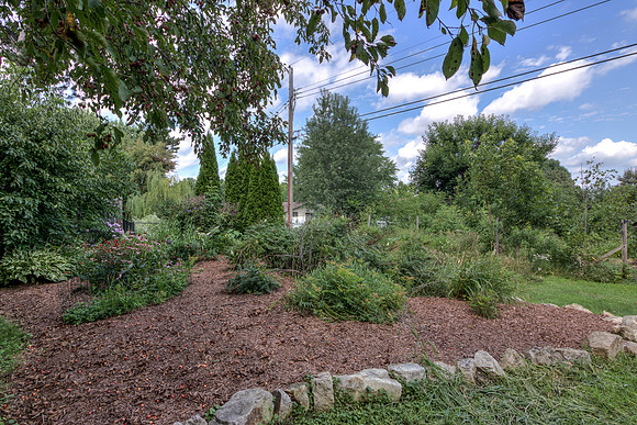 19 - Backyard-07