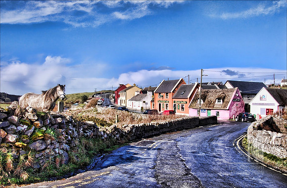 Photo-a-Day. Day 72. Doolin's official greeter horse.  (March 2007)