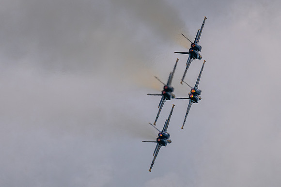 TZ6_2444