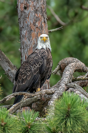TLA_7556-Edit