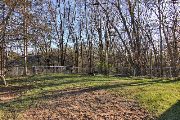 19 - Backyard-3