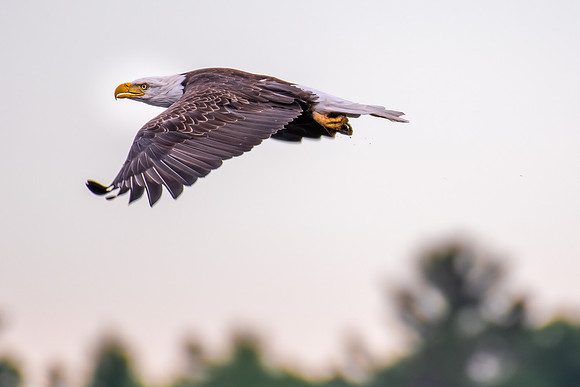 TLA_7525-Edit