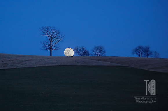 Photo-a-Day. Day 33. The Moon's Awake. (April 2010)