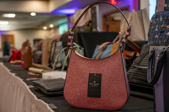 Tim Abraham - 21 -Purses for Paws 25-69