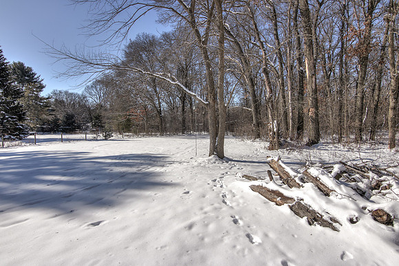 19 - Backyard-02