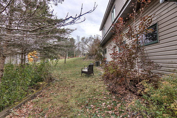 19 - Backyard-5