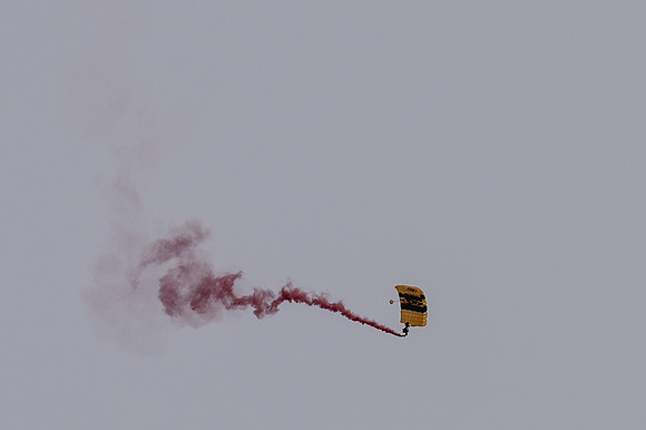 TZ6_8908