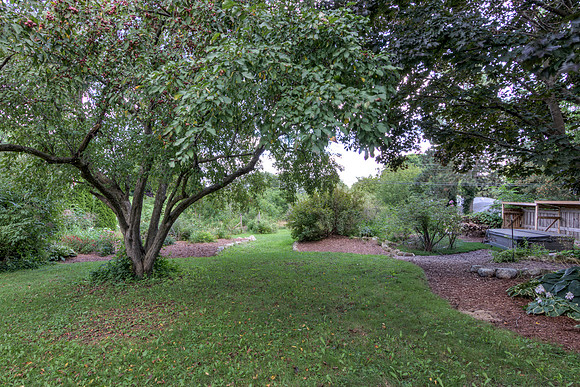 19 - Backyard-03