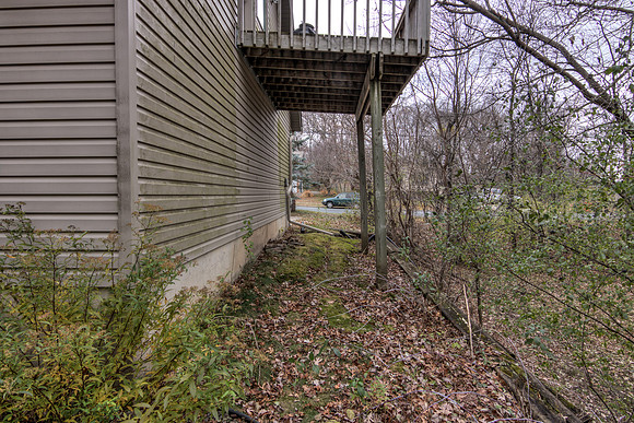 19 - Backyard-6