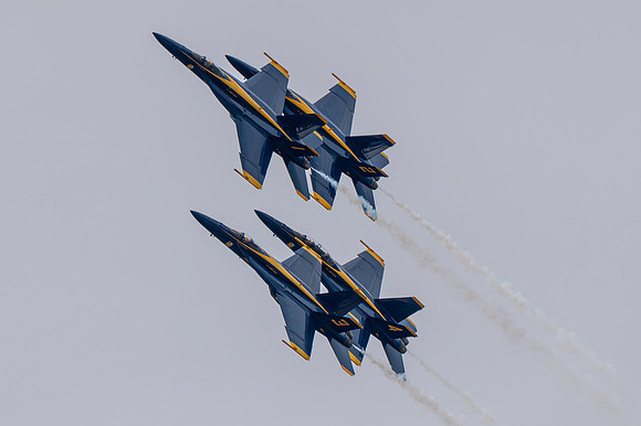 TZ6_4043