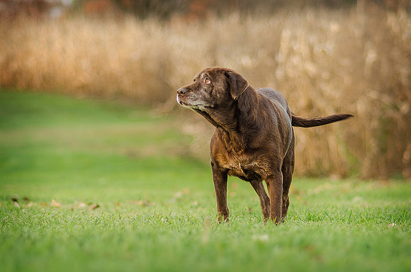20151101_ariah2_0465-Edit