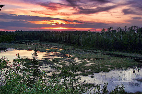 Photo-a-Day. Day 50. All we need are moose. (May 2010)