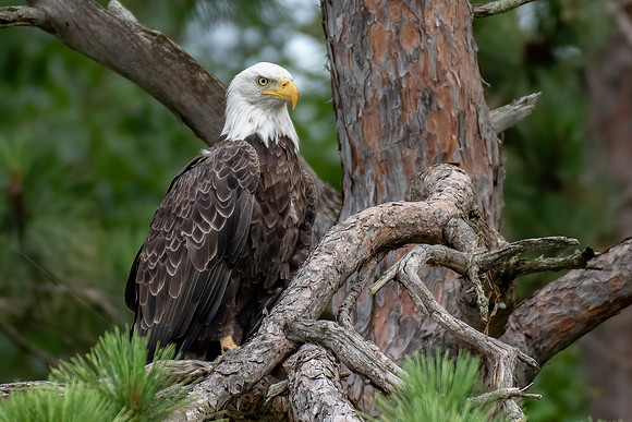 TLA_7569-Edit