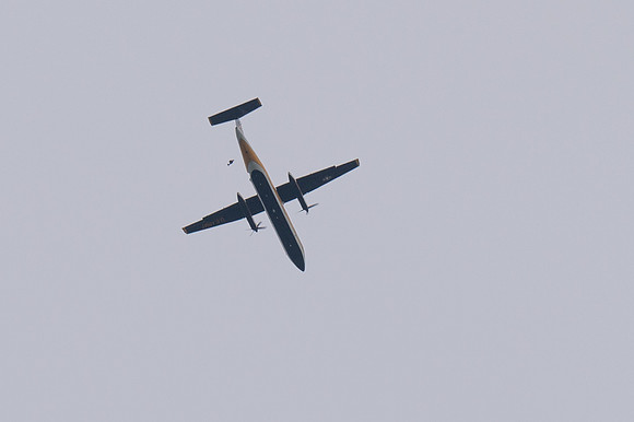 TZ6_8898