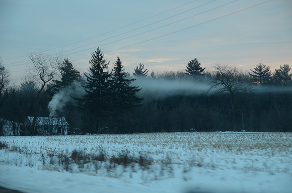 DSC_0704