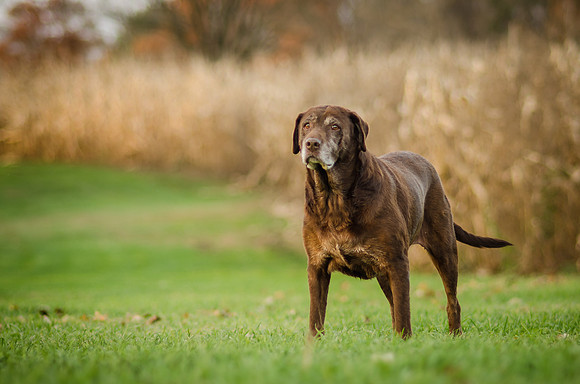 20151101_ariah2_0468