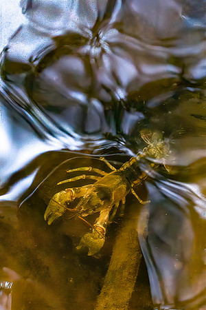 DSC03376-Edit