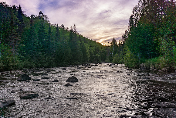 DSC03400