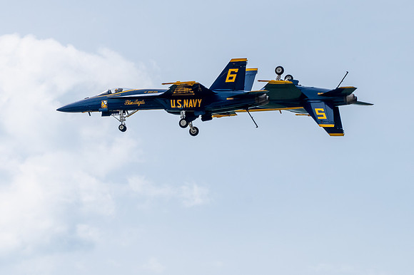 TZ6_4093-2