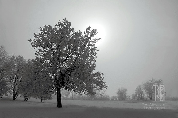Photo-a-Day. Day 126. frosty fog to cool you off... (Februrary 2010)