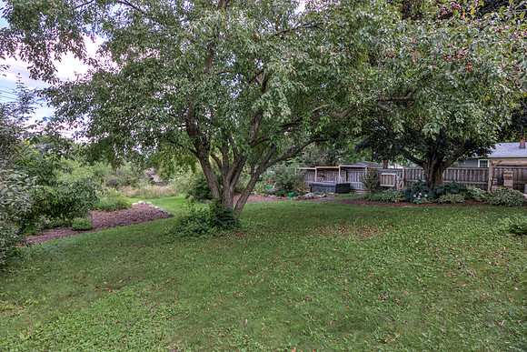19 - Backyard-06