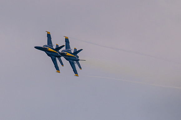 TZ6_2403