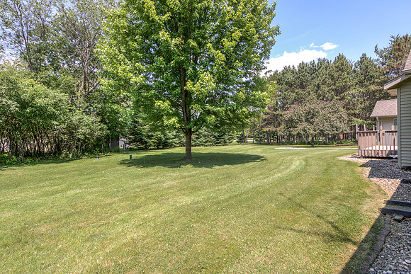19 - Backyard-7