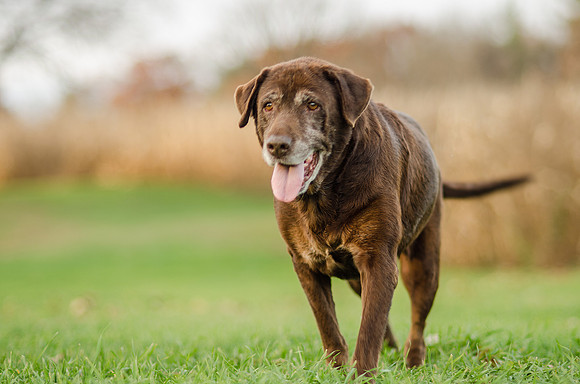 20151101_ariah2_0476-Edit