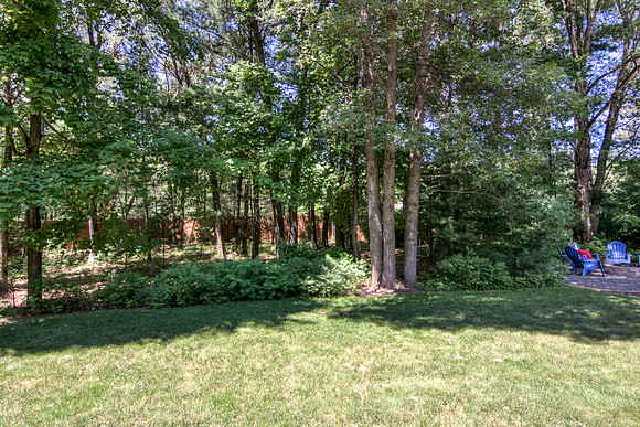 19 - Backyard-20