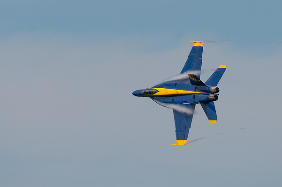 TZ6_4137-Edit