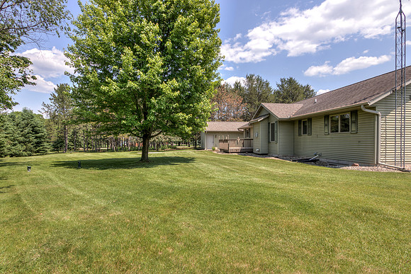 19 - Backyard-7b