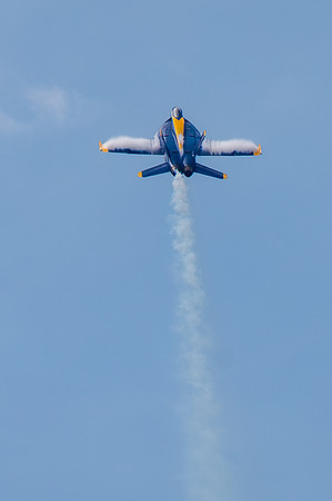 TZ6_4229