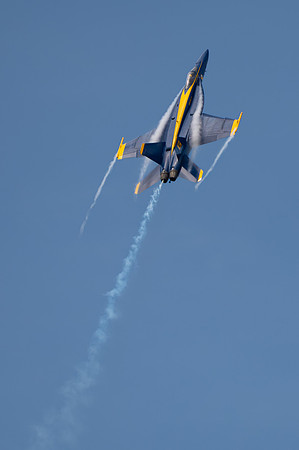TZ6_4307
