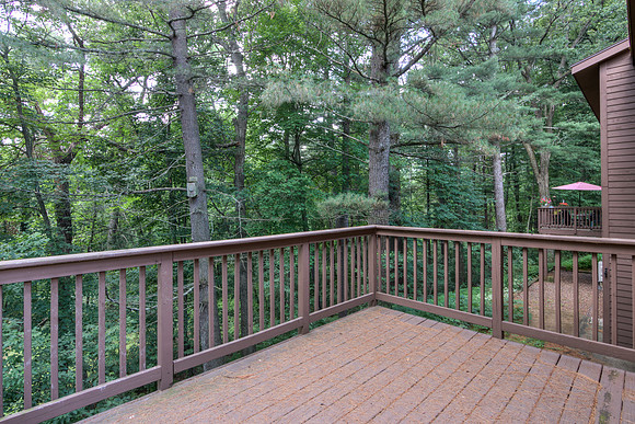 19 - Backyard-4