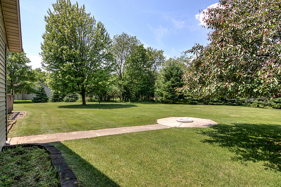 19 - Backyard-4